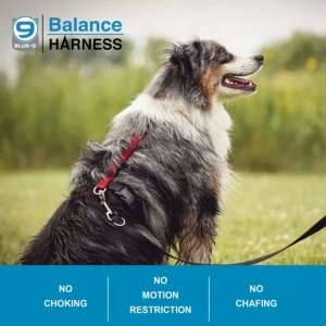 Buckle Neck Balance Harness