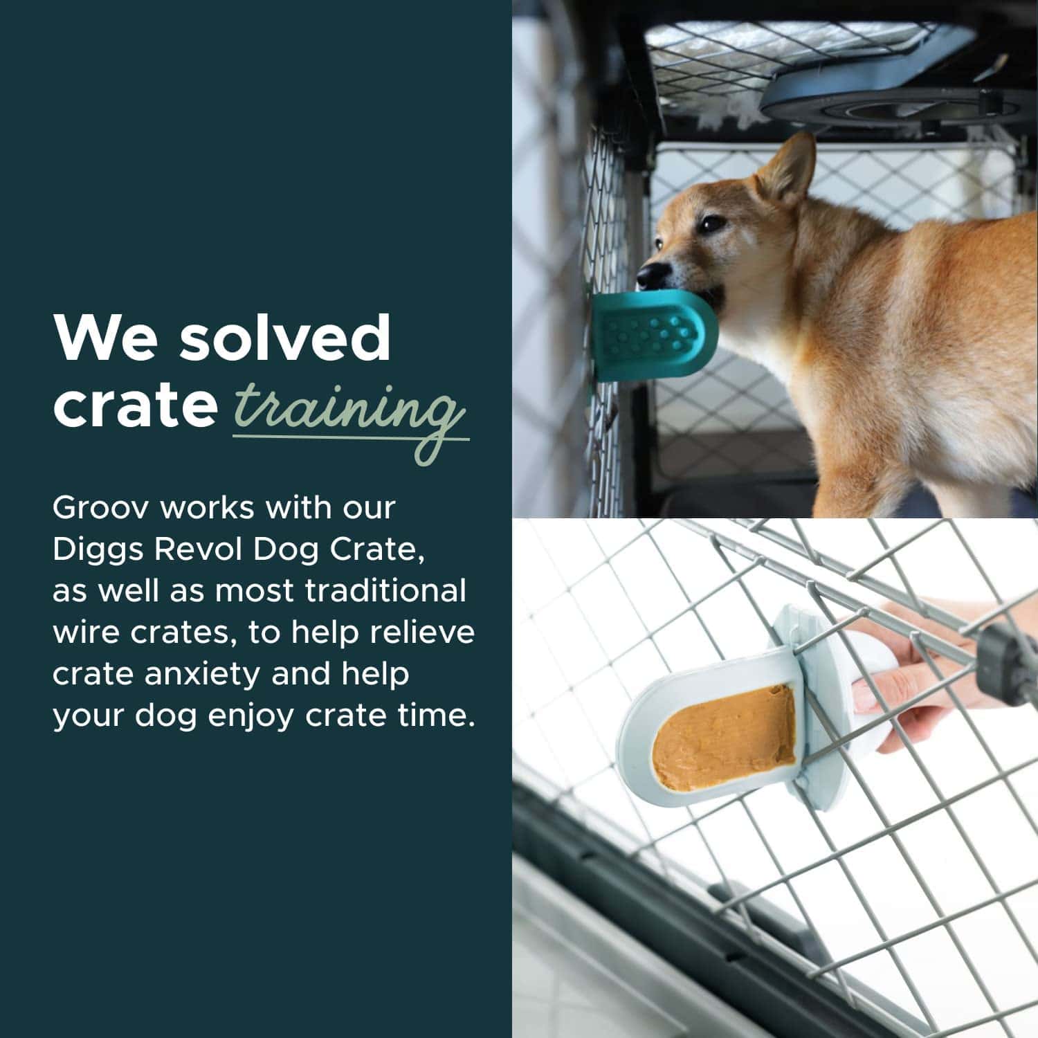 Best Dog Training Collars, Leashes, Treats, Pads, Clickers, Books