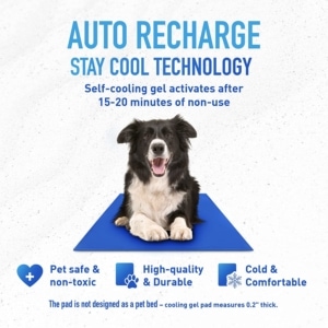 Auto Recharge Stay Cool Technology Dog Cooling Mat For Dog Training
