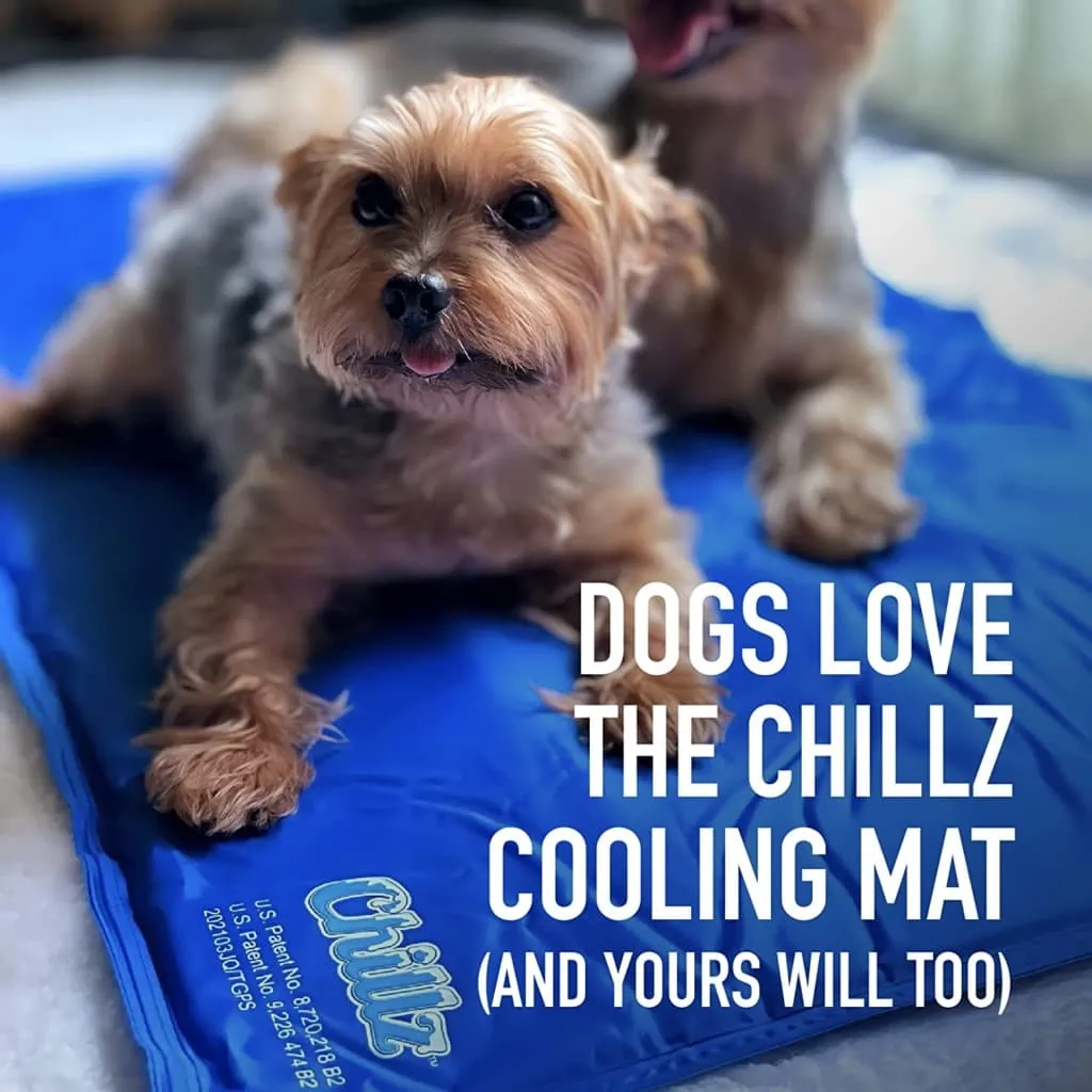Dogs Love the Chillz Cooling Mat For Dog Training
