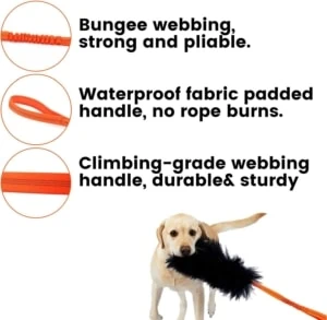 Dog Rope