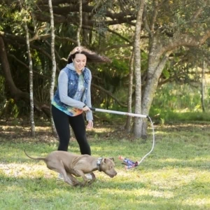 Dog Training Pole With Dog