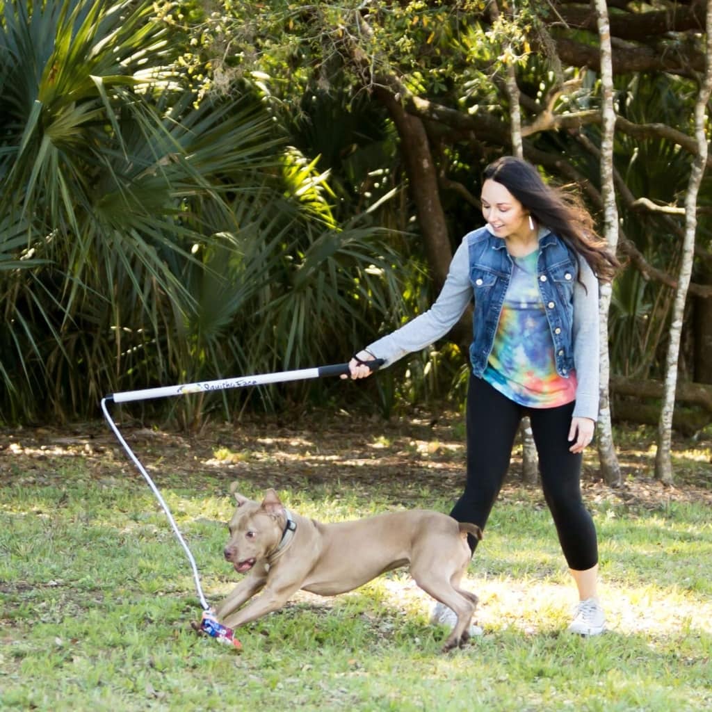 Dog Training Pole With Owner